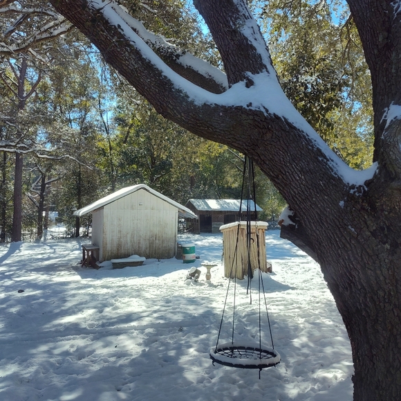 Meet your Posher, Lisa - Picture 4 of 10